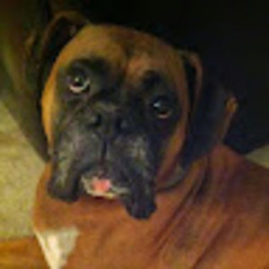 Meet your Posher, Aidan